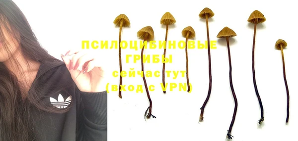гидропоника Балабаново