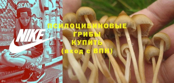 гидропоника Балабаново