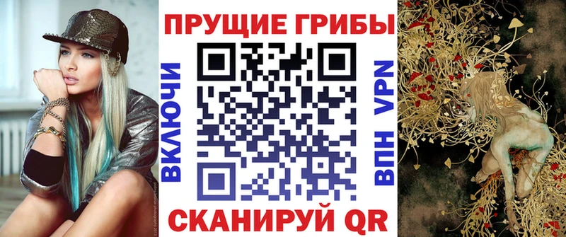 закладки  Пласт  Псилоцибиновые грибы GOLDEN TEACHER 